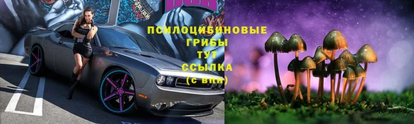 мдма Бородино