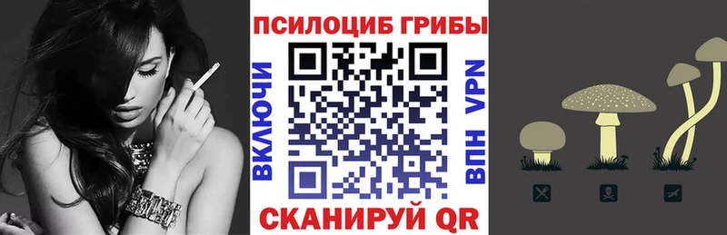 Купить закладки  Кропоткин  Псилоцибиновые грибы Magic Shrooms 